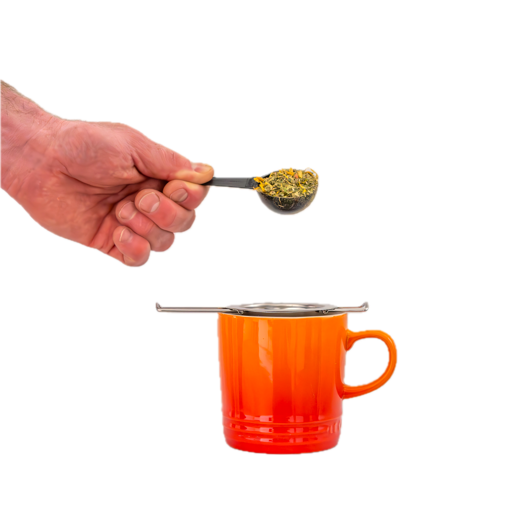 STAINLESS STEEL INFUSER