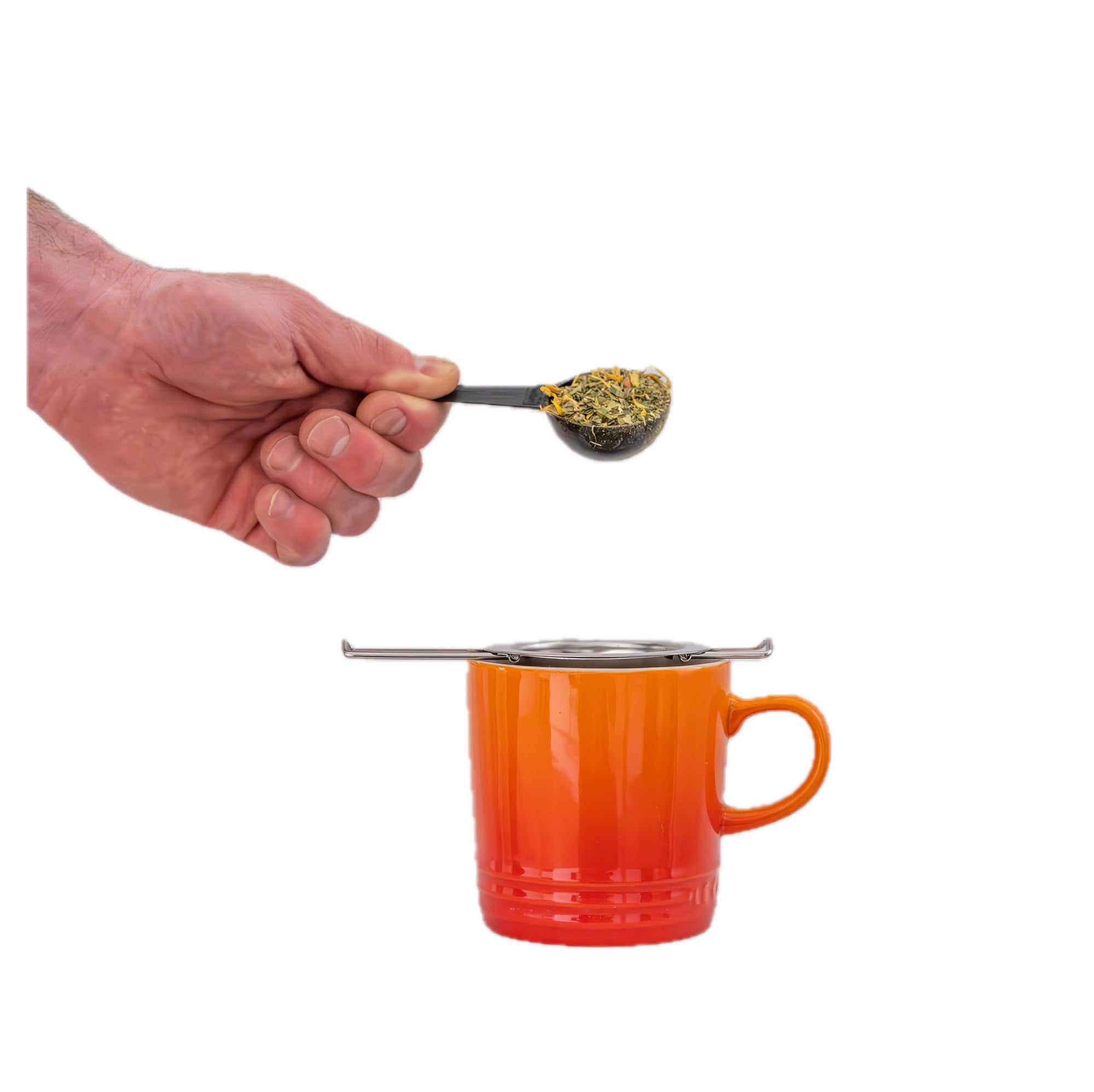 Yerba Maté Starter Kit - Verde Maté TROPICAL (400g) &amp; Stainless Steel Infuser