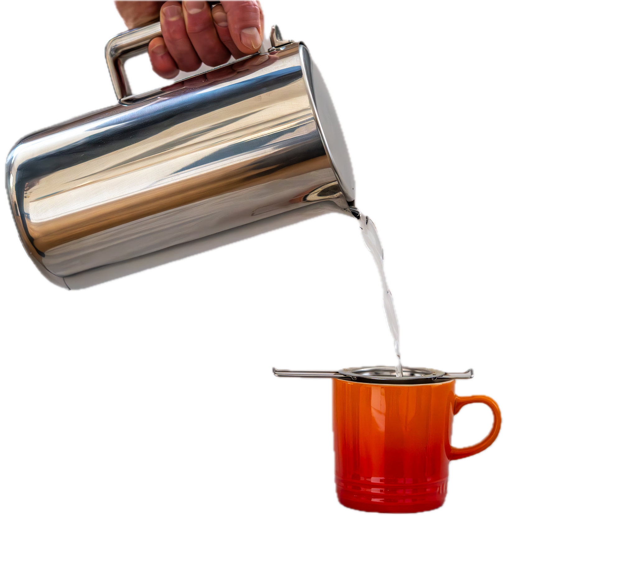 Yerba Maté Starter Kit - Verde Maté TROPICAL (400g) &amp; Stainless Steel Infuser